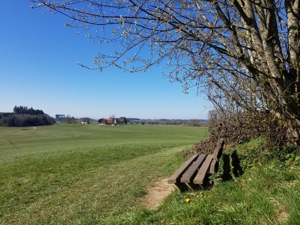 Aussichtsbänkchen beim Schindbüchel