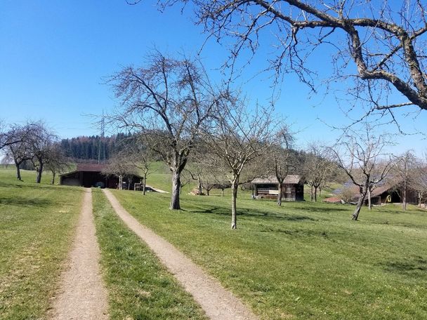 Obstwiese vor Nieratz