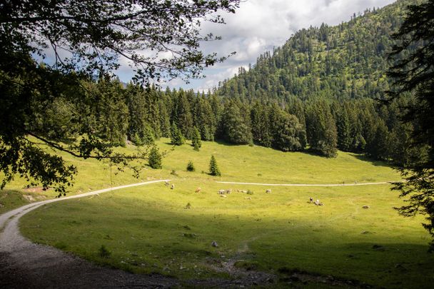 Weg durch´s "Himmerleich" am Kienberg