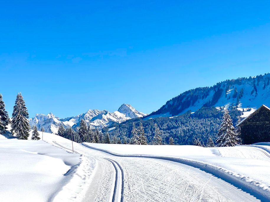 Winterfreuden auf der Loipe