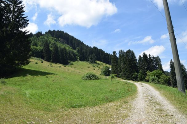 Wiesenweg zum Kappeler Höhenweg