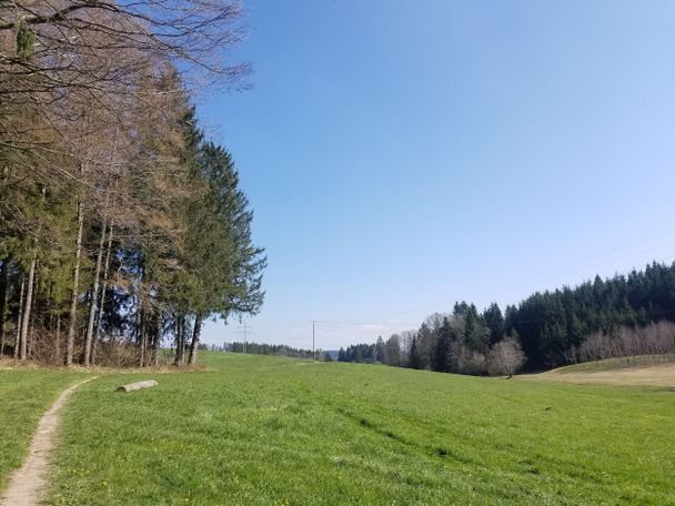 Wanderrundweg 6: "Über Durrenberg, Eglofs und Maria-Thann durch den Atzenberger Wald"