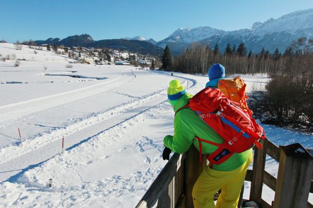 Ausblick vom Aussichtsturm im Berger Moos