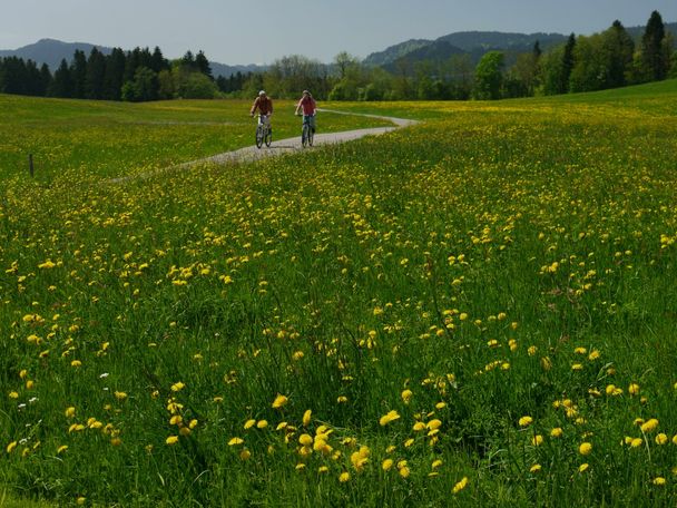 Forstenhäuser