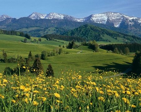 Diesen herrlichen Ausblick auf den Hochgrat genießen wir auf  dem Rückweg.