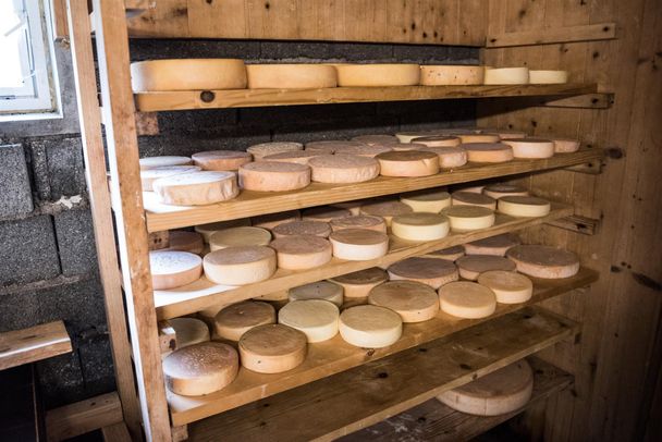 Lagernder Weichkäse im Käsekeller