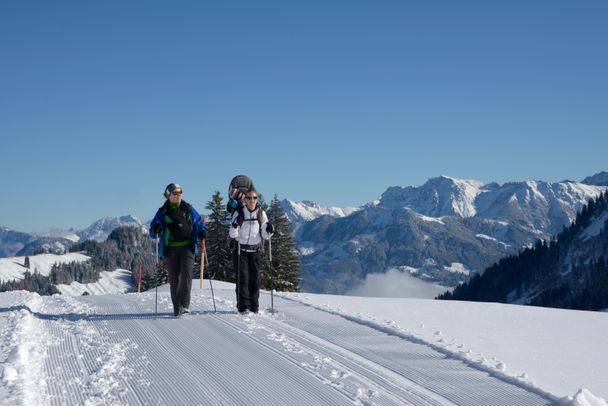 Panorama-Winterwanderweg