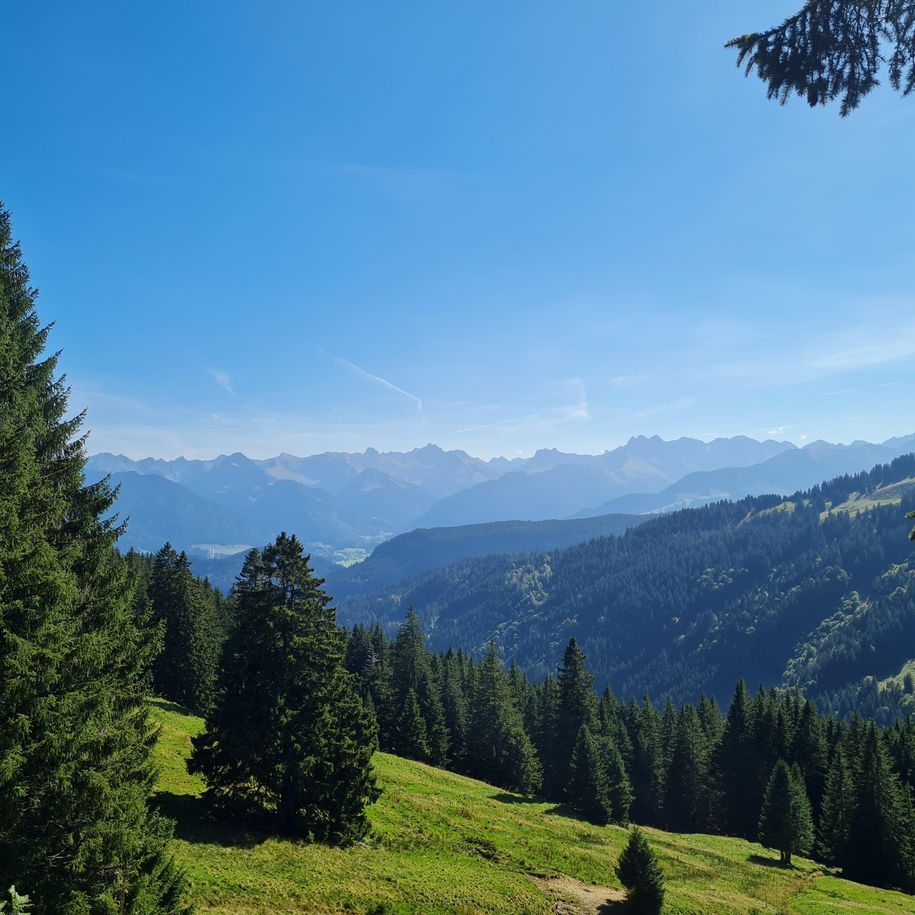 Ausblick Hörnerbahn