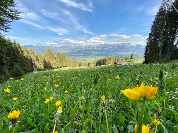 Hochbichl Hütte in OfterschwangHörnerdörfer