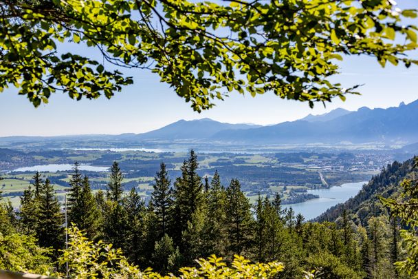 Seen-Panorama mit Hopfensee, Weißensee und Forggensee