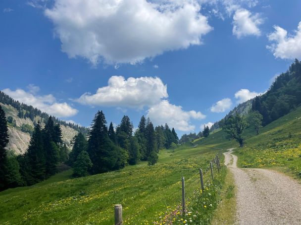 Durchs Lecknertal Richtung Scheidwang Alpe