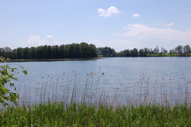 Ellerazhofer Weiher