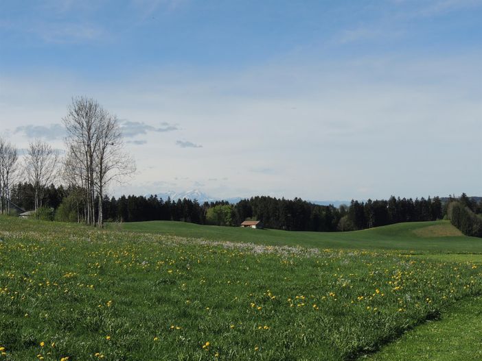 Aussicht Gumpeltshofer Höhe