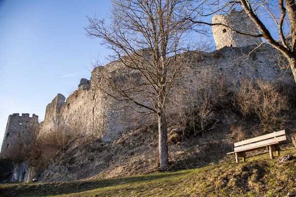 Die Mauern der Ruine Hohenfreyberg