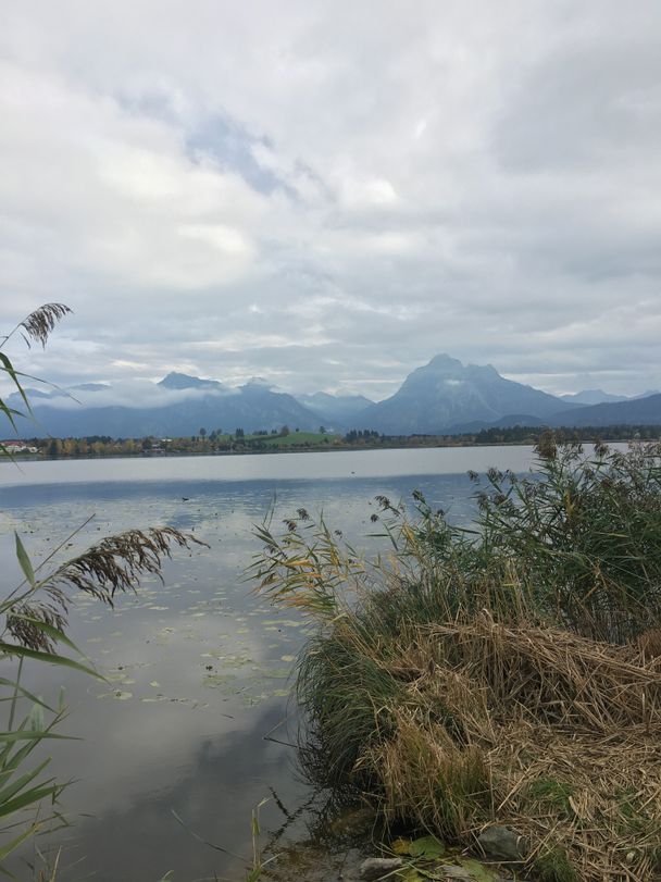 Blick über den Hopfensee