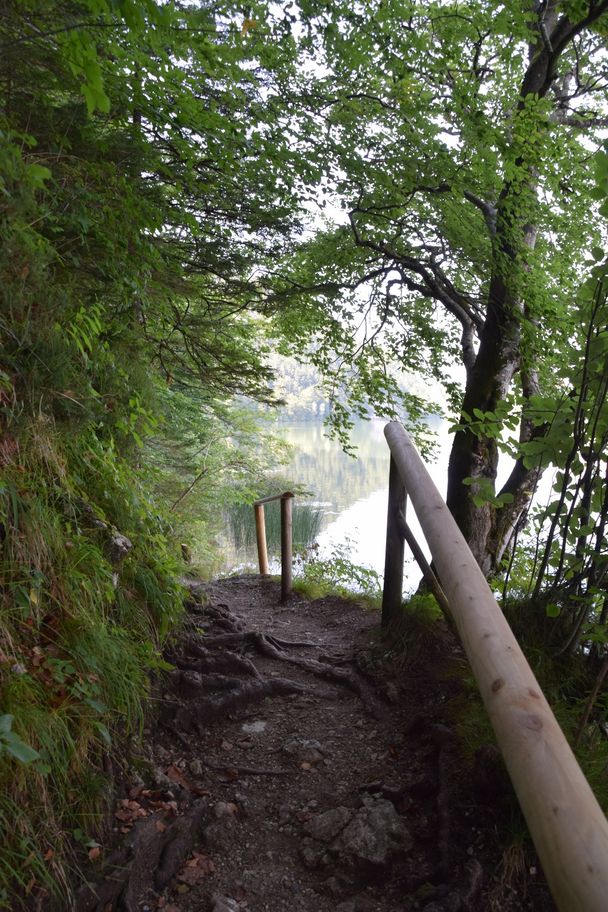 Wurzelweg am Südufer des Weißensees