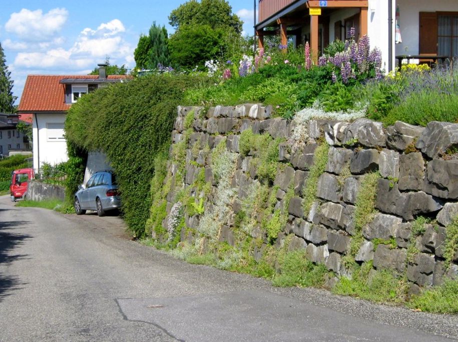 Straße mit Carport