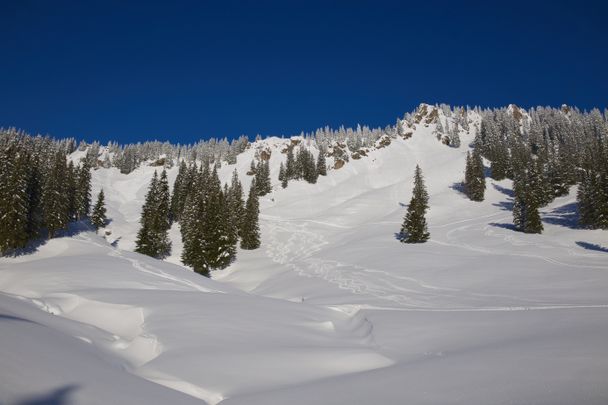 Von Balderschwang auf den Heidenkopf