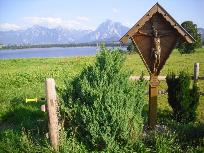 Feldkreuz am Hopfensee