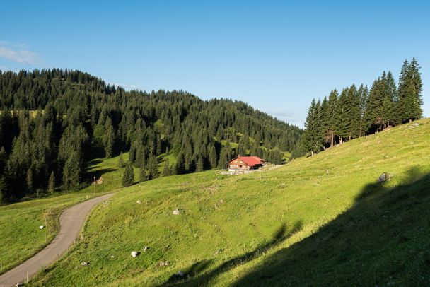 Freiburger Alpe bei Obermaiselstein