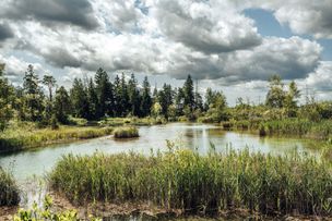 Einmalige Natur im Wurzacher Ried entdecken- hier die Haidhgauer Quellseen