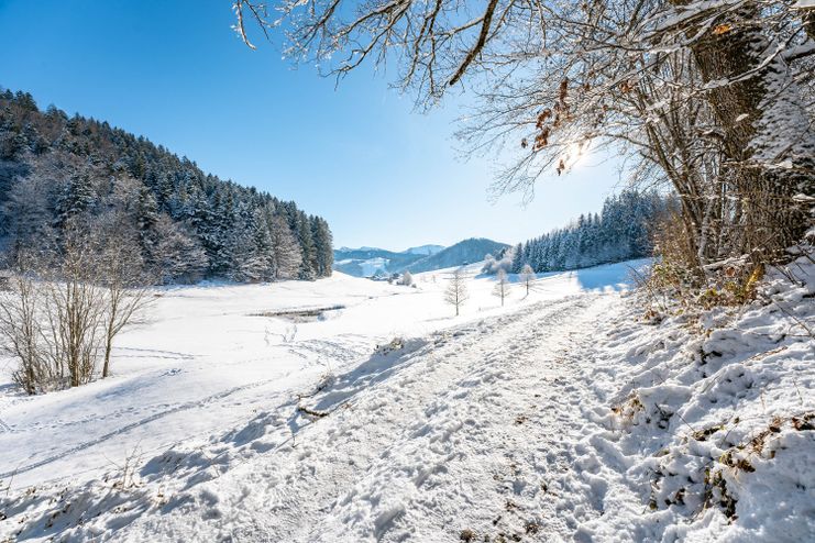 Winterwandern im Schwarzenbachtal