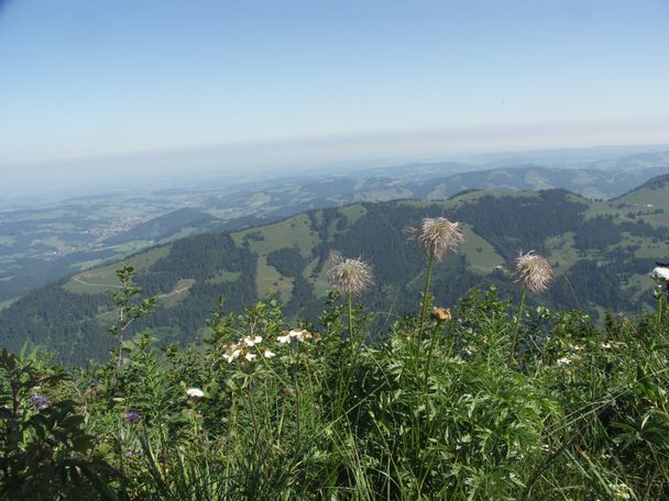 Blick ins Westallgäu.