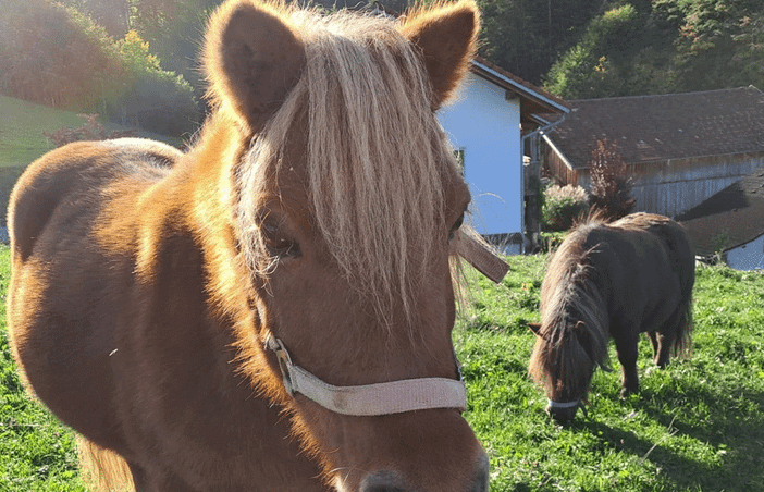 Sabrina und Lino