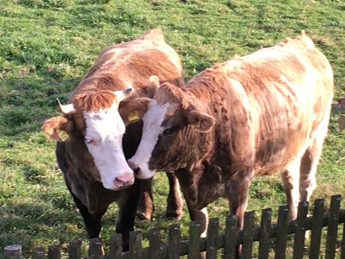 Pfronten im Allgäu