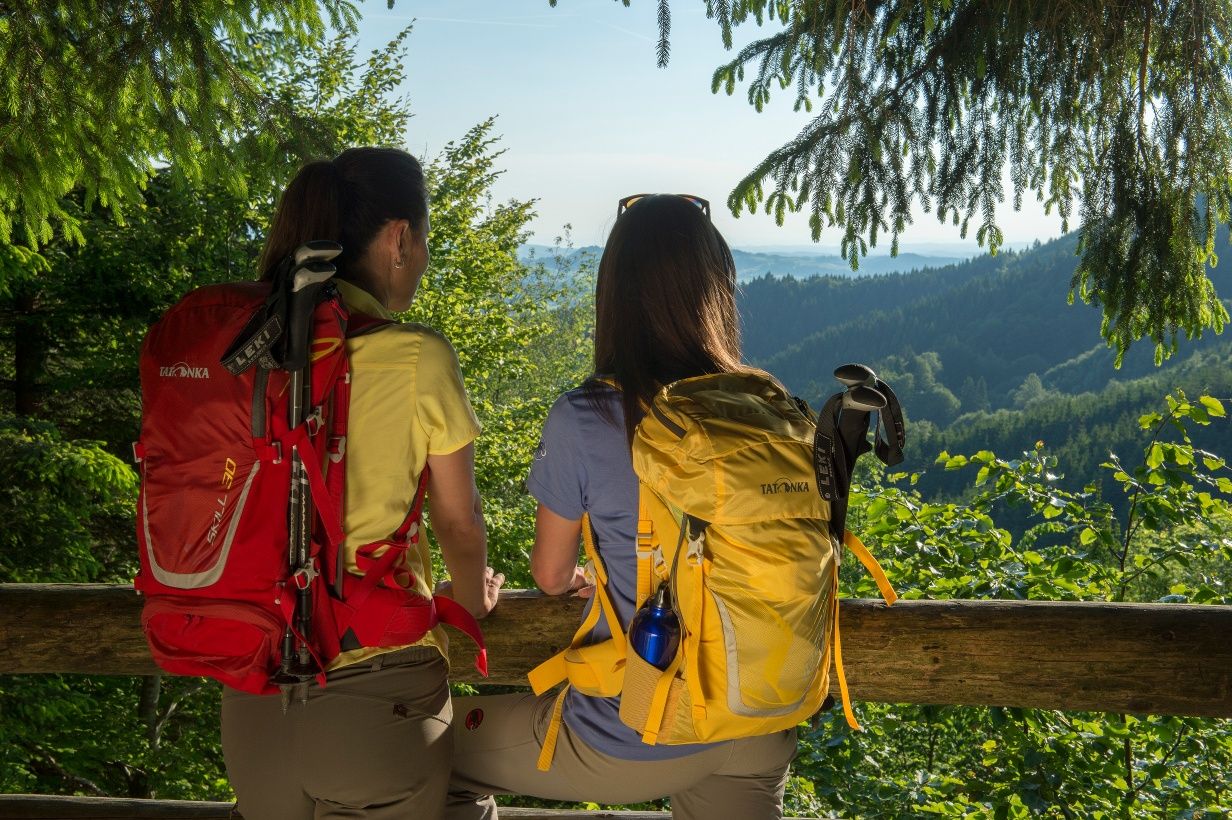 Wiesengänger Route Der Wandertrilogie Allgäu Etappe 18 Bolsternang Ermengerst Allgäu 7510