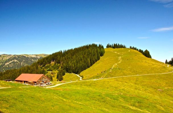 Fahnengehren Alpe mit Ofterschwanger Horn