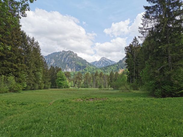 Swan Lake Circular Trail