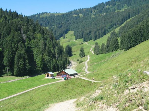 Alpe Zunkleiten nach Bolgen