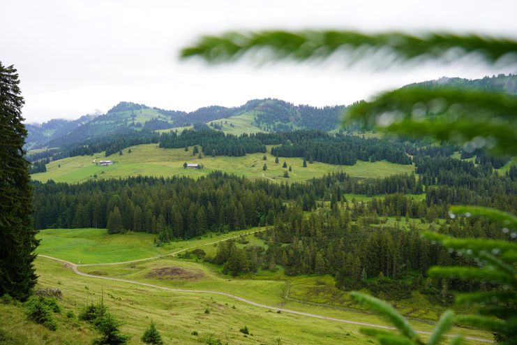 Blick auf das Alpgebiet im Bereich Imberg und Hörmoos