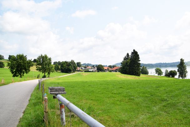 Forggensee-Runde Blick auf Dietringen