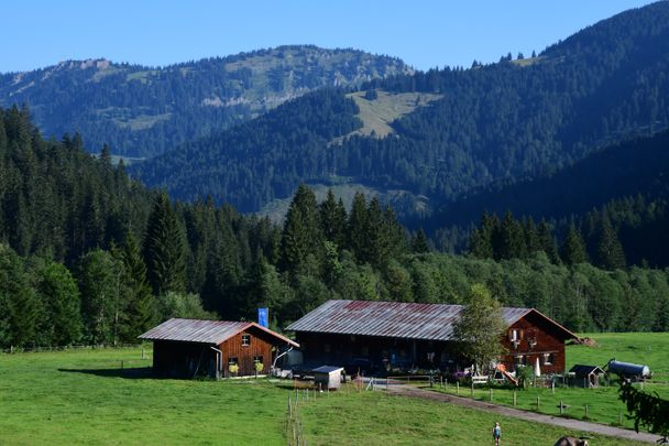 Scheuenalpe