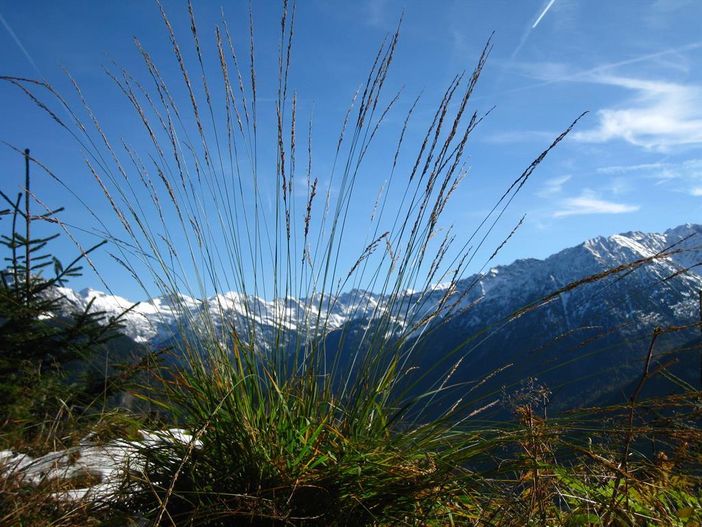 Herbst in den Bergen