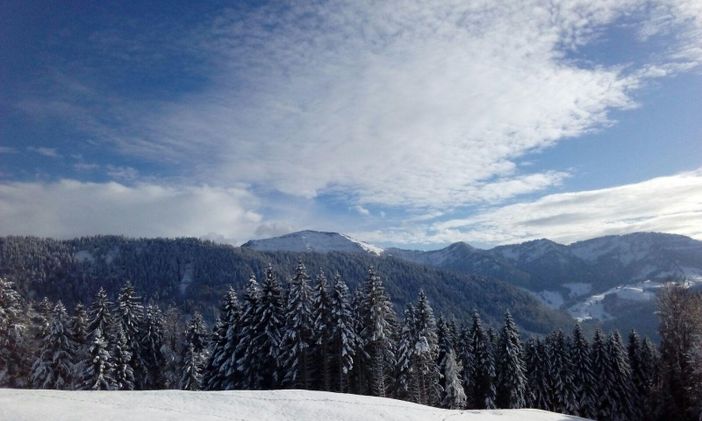 Winterlandschaft vor dem Hochgrat