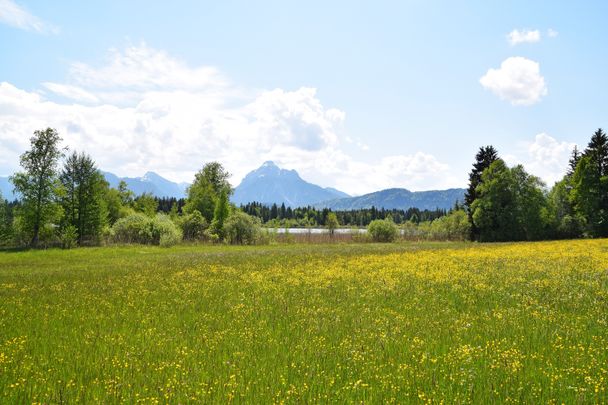 Wandern am Hopfensee im Allgäu