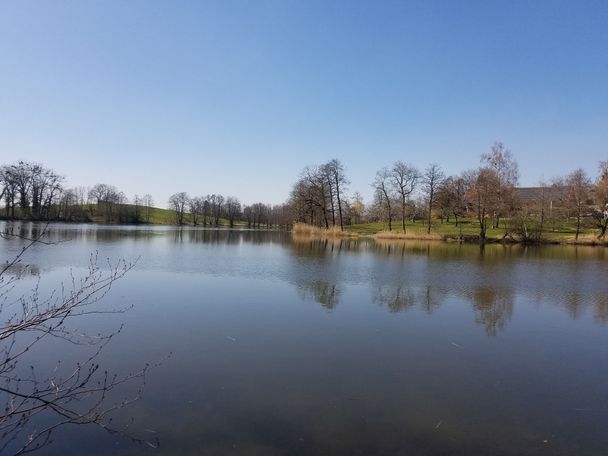 Der Großweiher beim Röhrenmoos