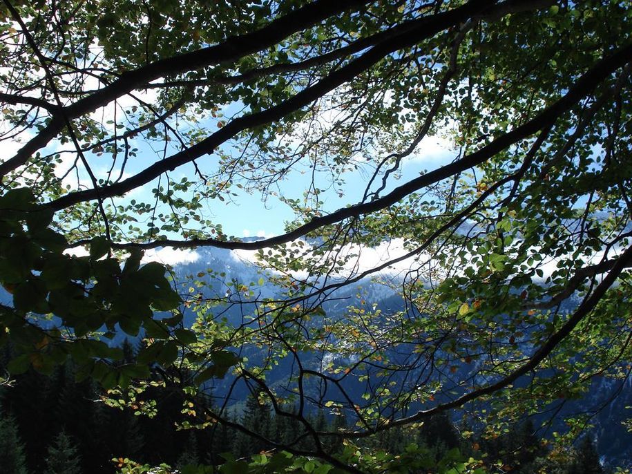 Herbststimmung oberhalb von Hinterstein