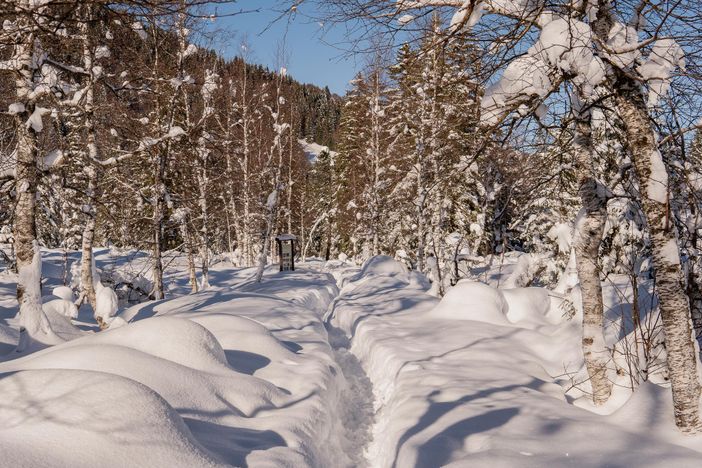 Winter Moorrunde_LR-11