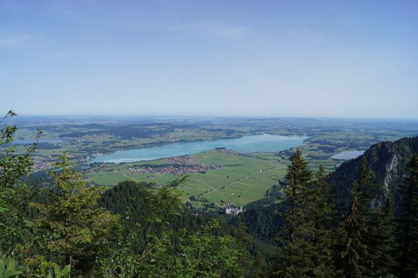 Der Forggensee vom Säuling aus