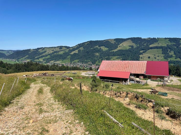 Blick auf die Leutenschwand Alpe