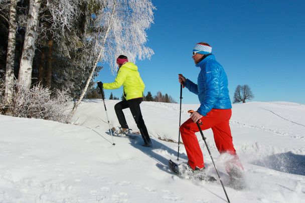 Schneeschuhtour Hornburgrunde