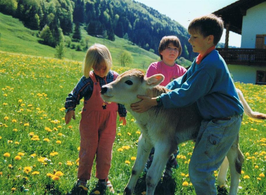 Kindern mit Kälbchen