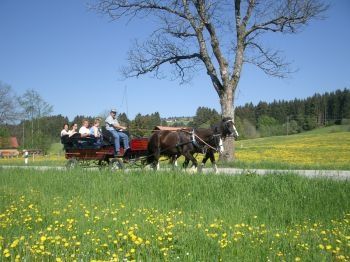 Kutschfahrten Sommer