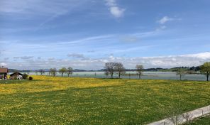 Balkonblick Seestadel