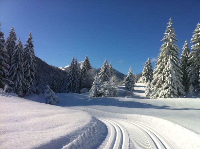 Winterlandschaft mit Loipe