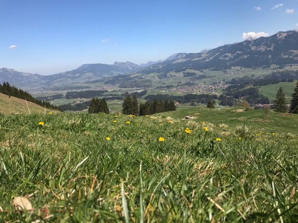 Blick auf die gegenüberliegenden Sonnenköpfe